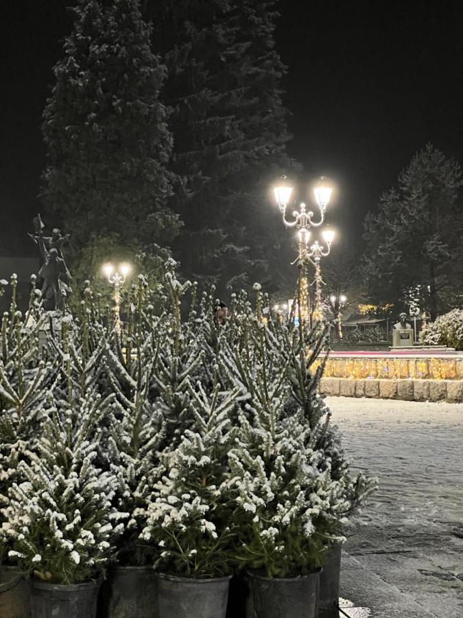 Laf Guest House Колашин Экстерьер фото